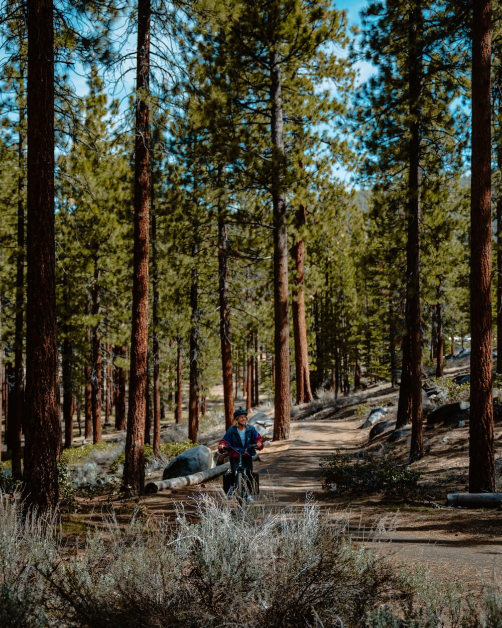 A7402339-Enhanced-NR