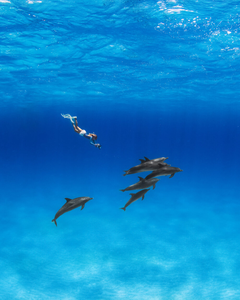 _DSC4001-Edit-1-Edit copy-Edit-2