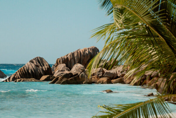 PORTFOLIO: Seychelles