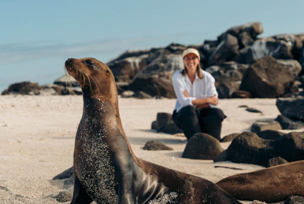 PORTFOLIO: Galapagos